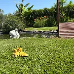 Casa Da Pedrosa