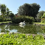 Casa Da Pedrosa * פונטה דה לימה
