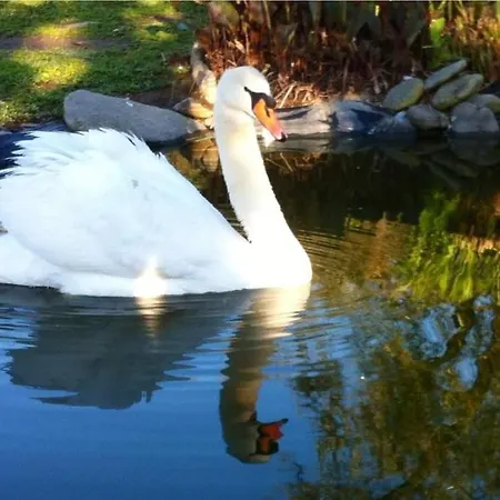 Casa Da Pedrosa * Ponte de Lima