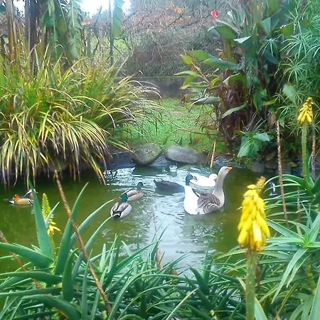 Casa Da Pedrosa * Ponte de Lima