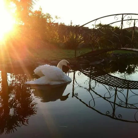 Casa Da Pedrosa Bed & Breakfast Ponte de Lima