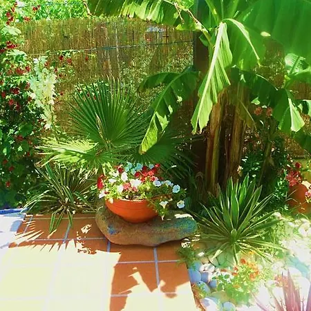 Casa Da Pedrosa