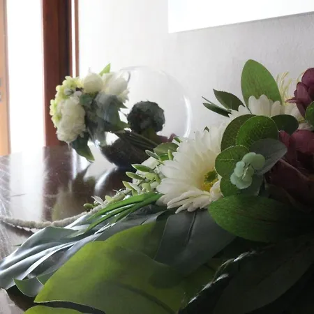 Bed & Breakfast Casa Da Pedrosa *