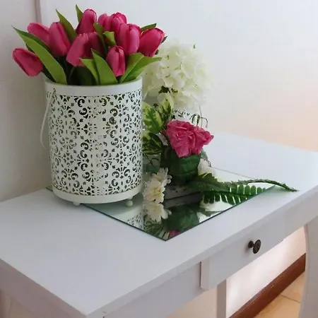 Casa Da Pedrosa * Ponte de Lima