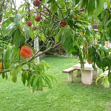 Bed & Breakfast Casa Da Pedrosa Ponte de Lima