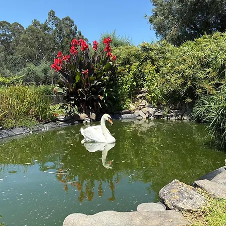 Casa Da Pedrosa Bed & Breakfast *