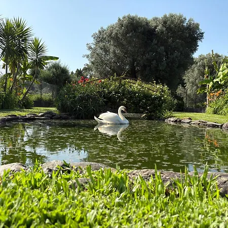 Bed & Breakfast Casa Da Pedrosa *