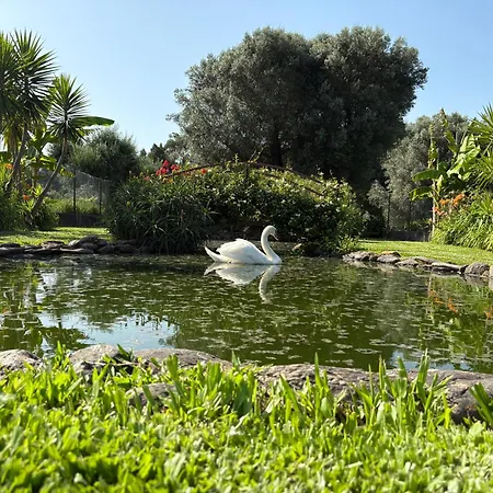 Casa Da Pedrosa Ponte de Lima