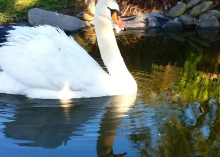 Casa Da Pedrosa * Ponte de Lima