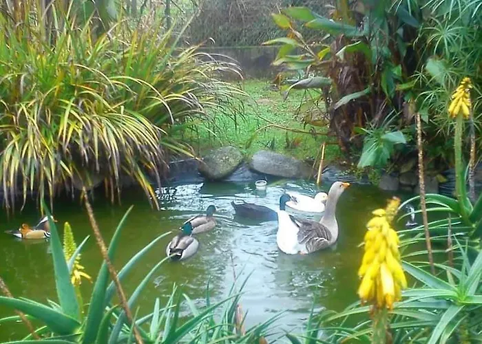 Casa Da Pedrosa * 蓬德利马