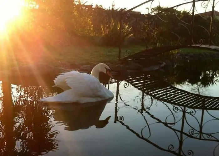 Casa Da Pedrosa Nocleg ze śniadaniem Ponte de Lima