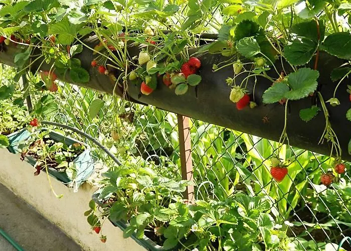 住宿加早餐酒店 Casa Da Pedrosa *