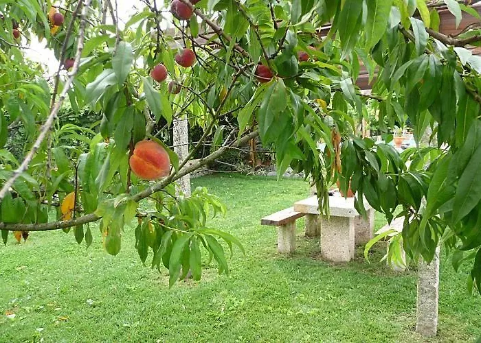 Nocleg ze śniadaniem Casa Da Pedrosa Ponte de Lima