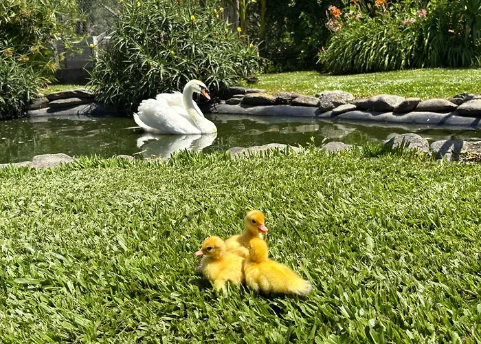 Nocleg ze śniadaniem Casa Da Pedrosa *