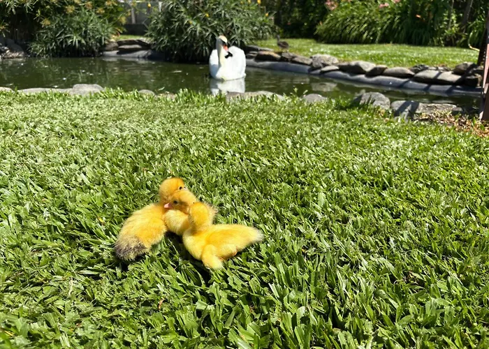 Casa Da Pedrosa Ponte de Lima