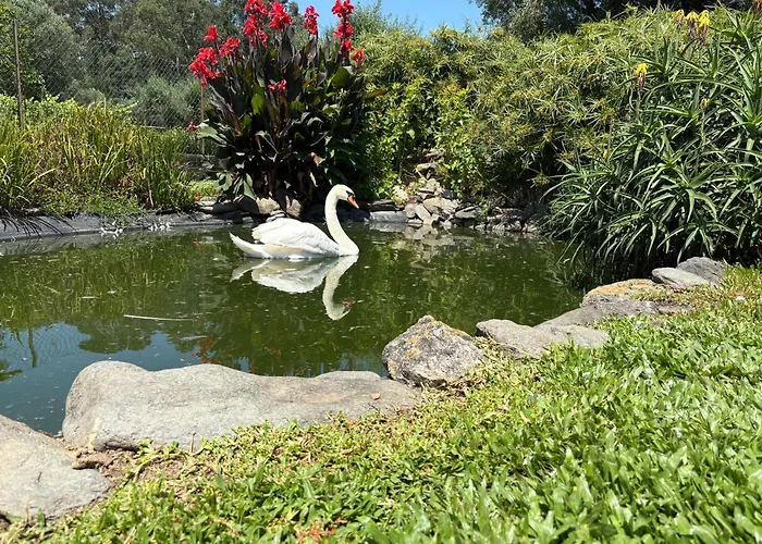 Casa Da Pedrosa Nocleg ze śniadaniem