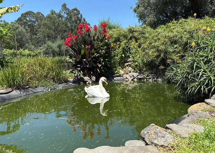 Casa Da Pedrosa Nocleg ze śniadaniem *