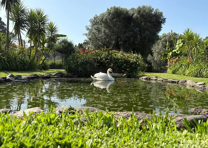 Nocleg ze śniadaniem Casa Da Pedrosa *