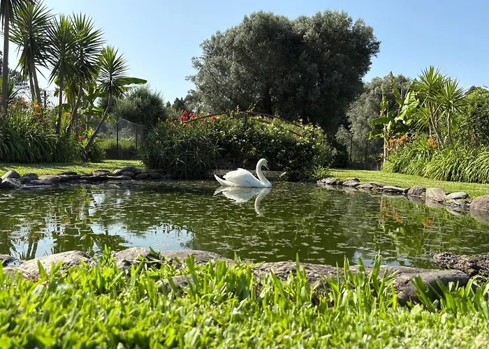 Casa Da Pedrosa Ponte de Lima