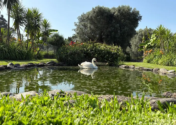 Casa Da Pedrosa * Ponte de Lima